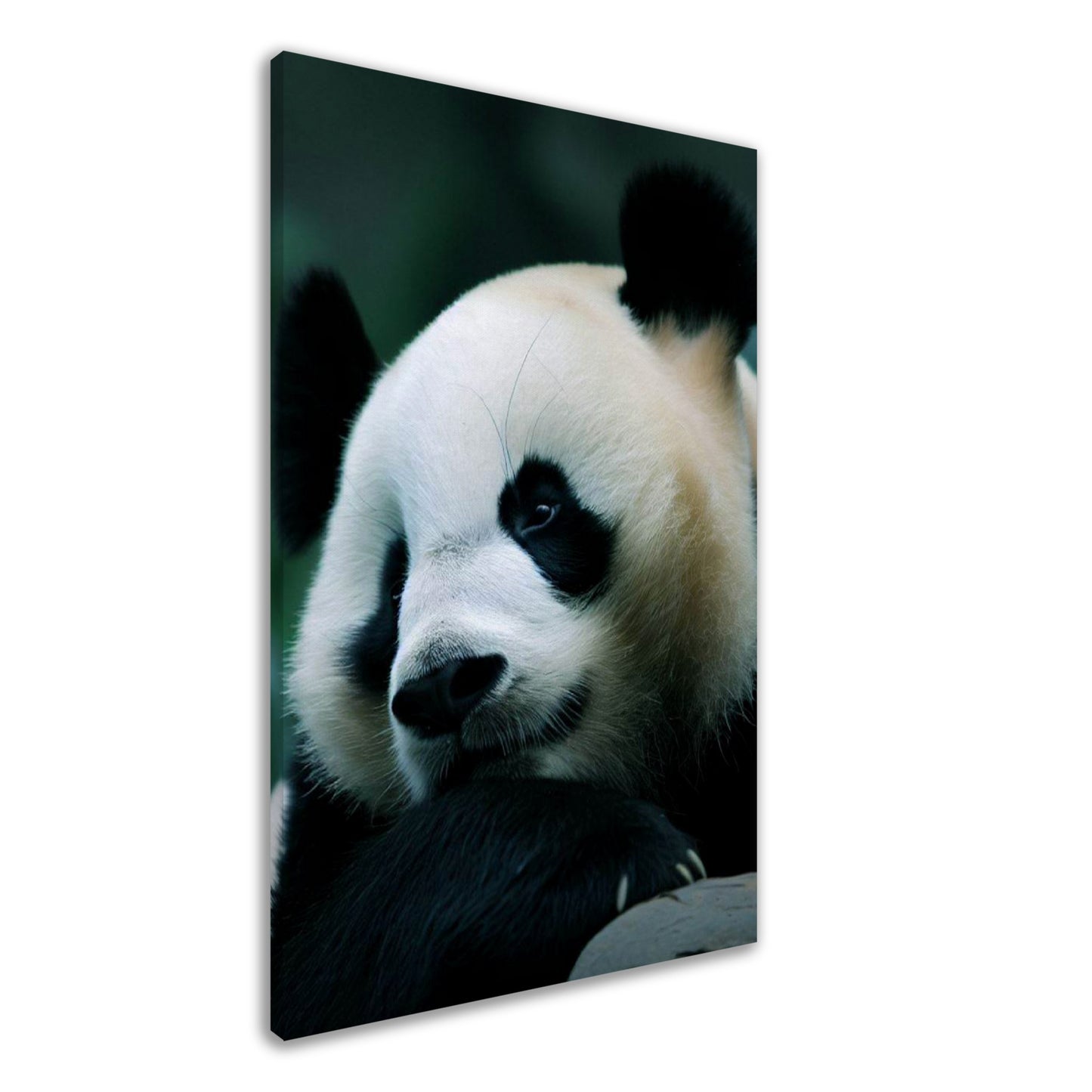 Adorable Panda Wall Art