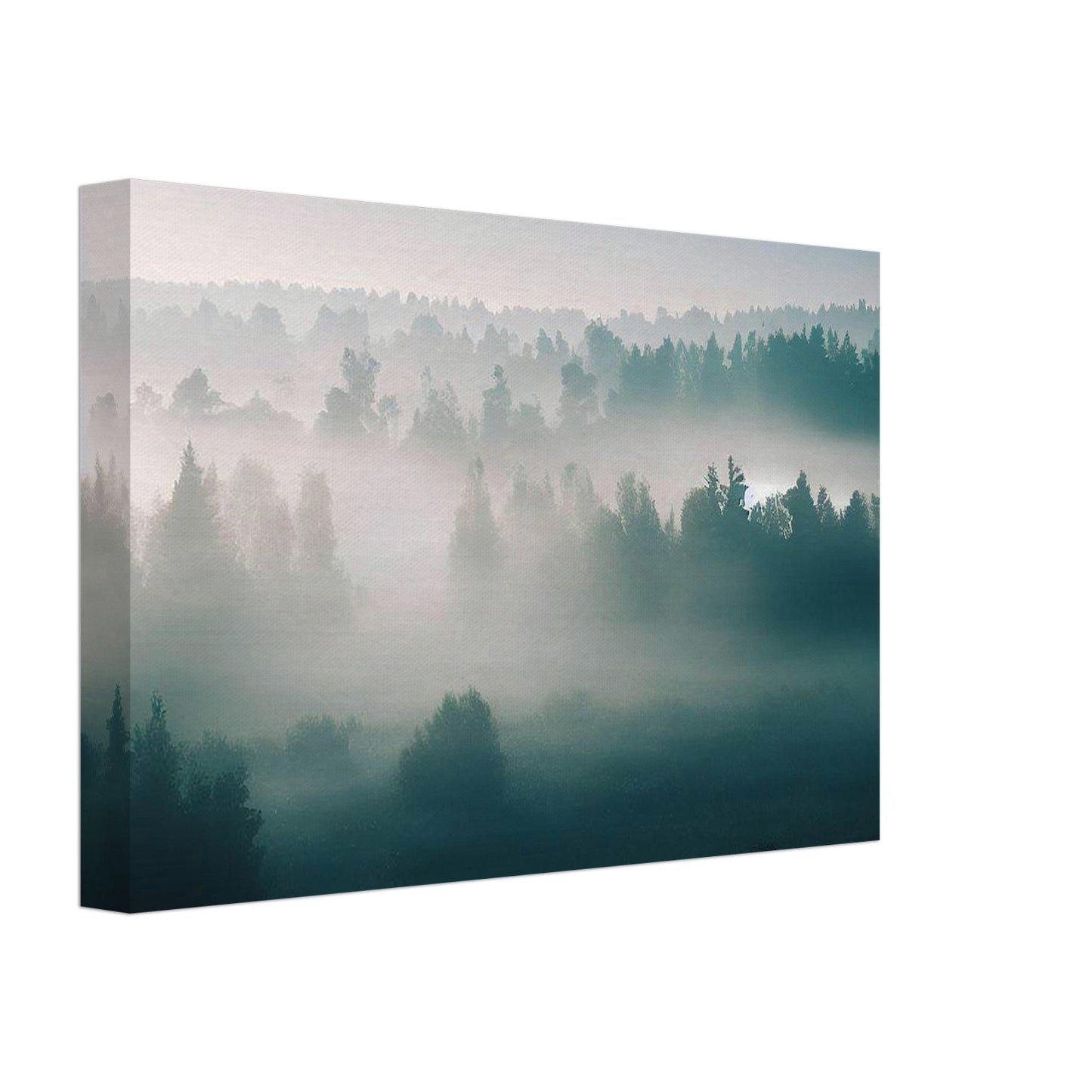 Mystical Foggy Forest Wall Art